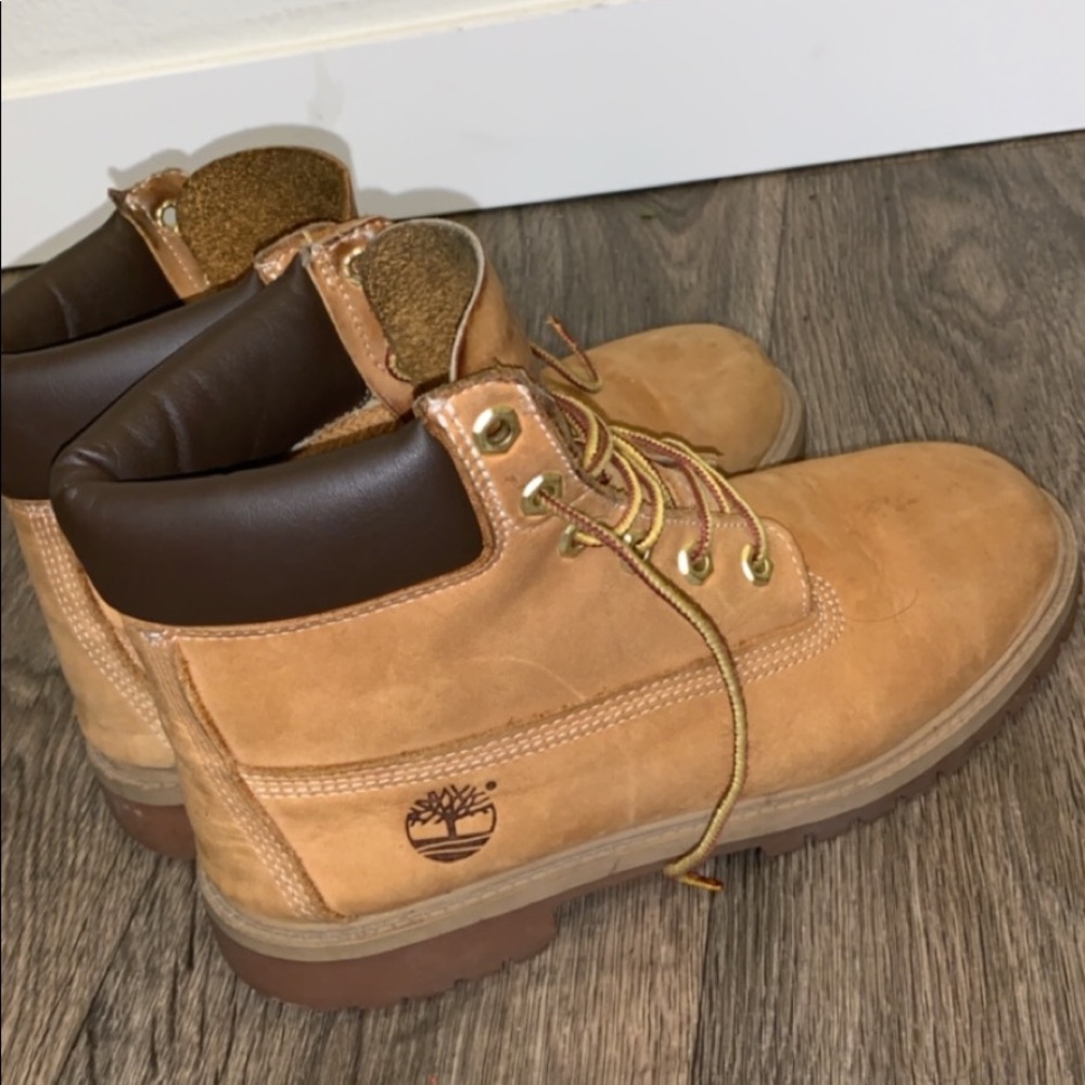 Timberlands - Picture 3 of 5
